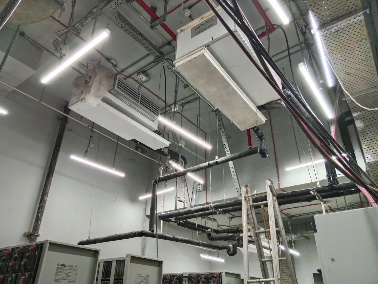 Gallery 29