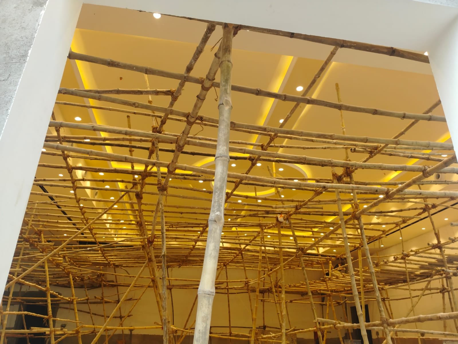 Gallery 6