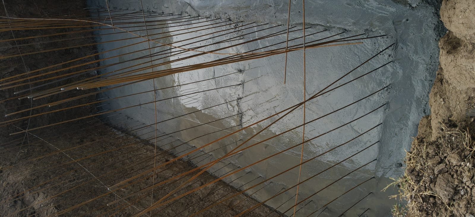 Gallery 6